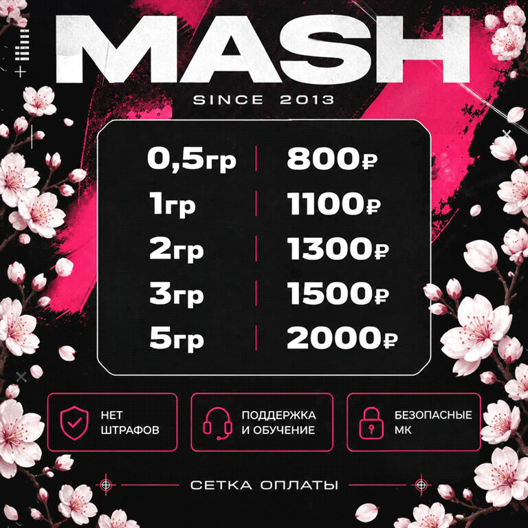 Ⓜ️ РАБОТА В МASH Ⓜ️
