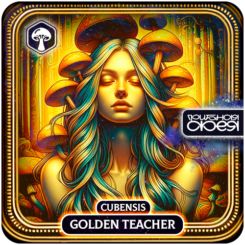 Golden Teacher