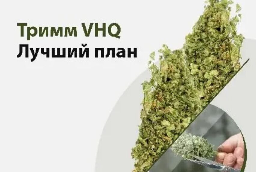 Трим VHQ Лучший план