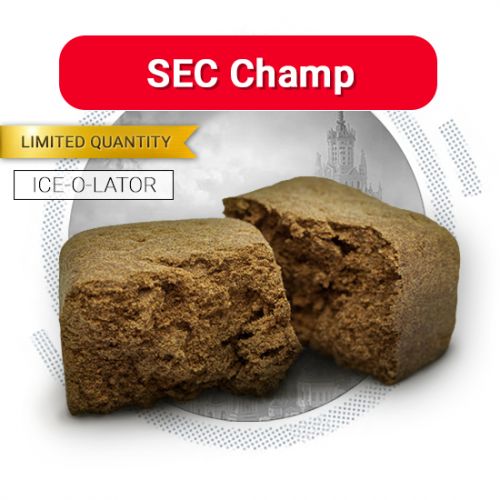 SecChamp Ice-O-Lator