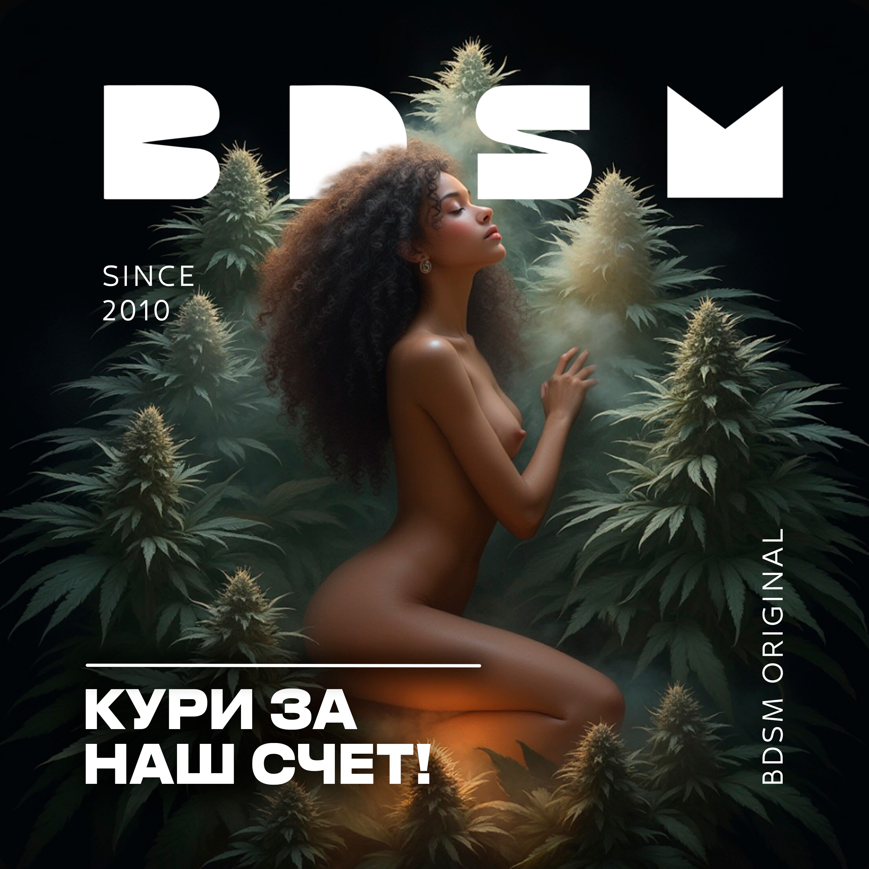 ШИШКИ "GOLOSA"
