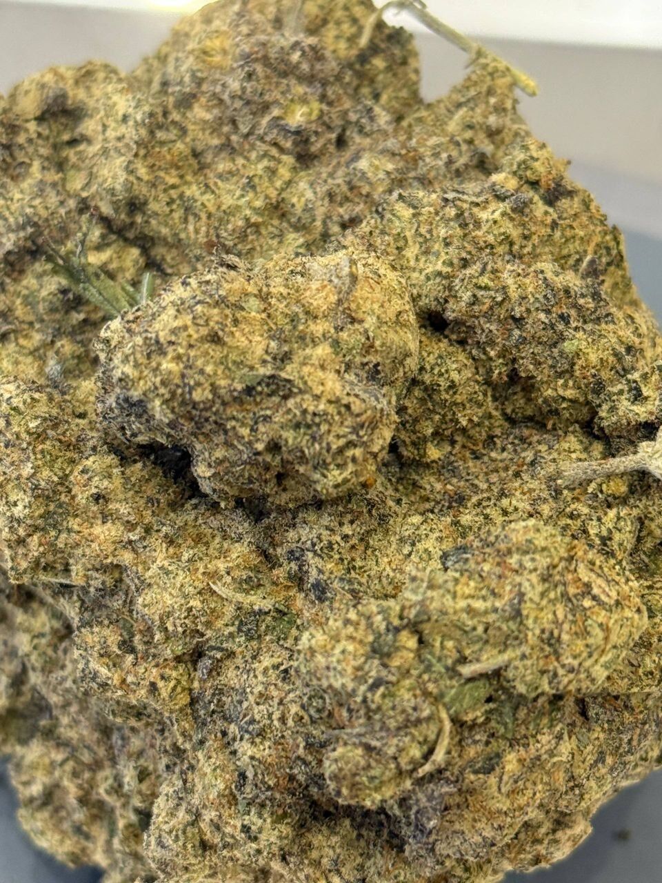 Cheese XXL vhq