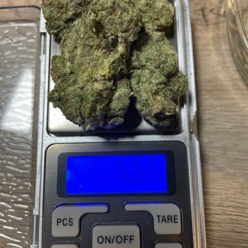 Gelato