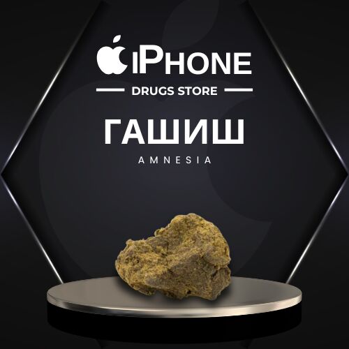 🍩 Amnesia 🍩 Гаш