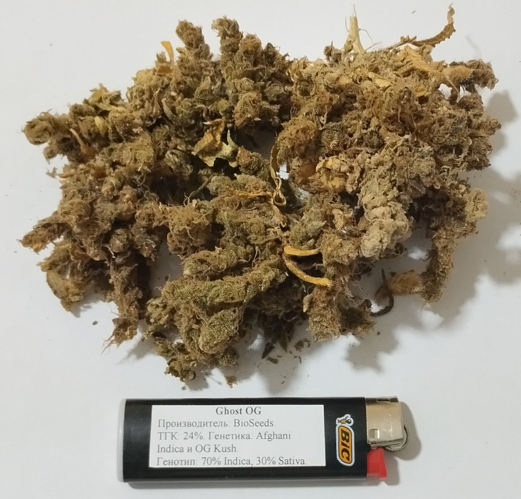 Ghost OG 11.25