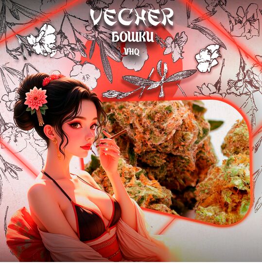 Бошки