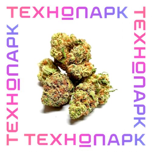БОШКИ "HEAD BANGER"