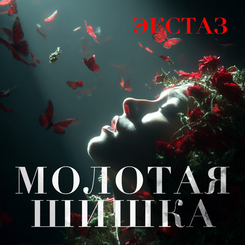 Шишки Молотые