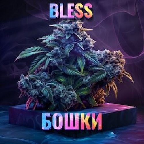 СВЕЖАК БОШКИ 💥7+1💥