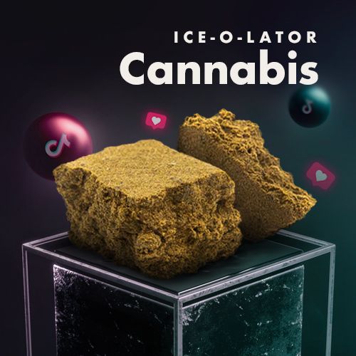 Cannabis * IZO