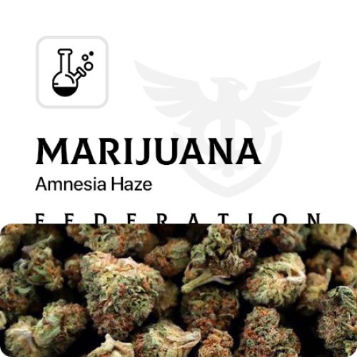 Бошки [Amnesia Haze]