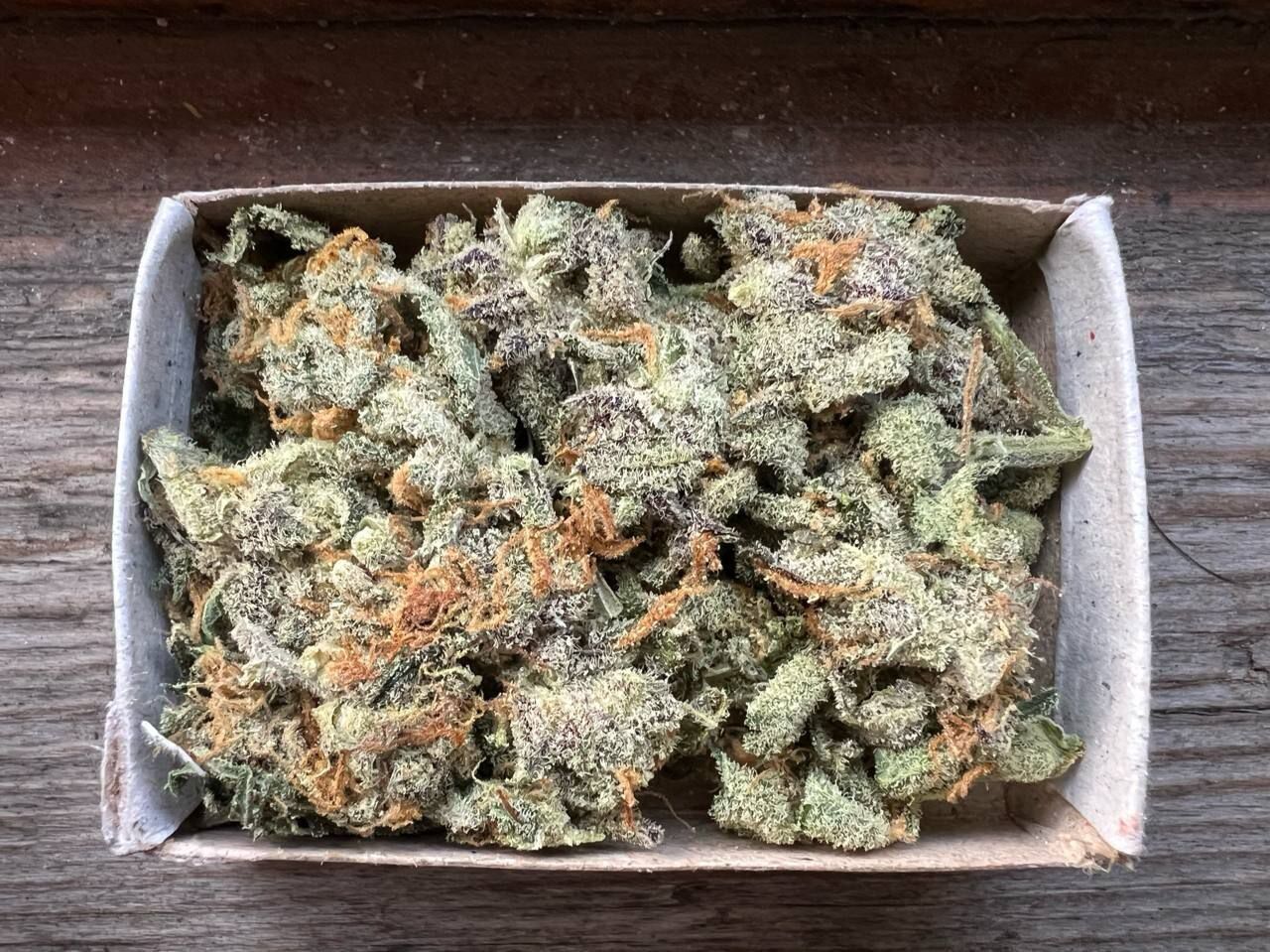 GG4