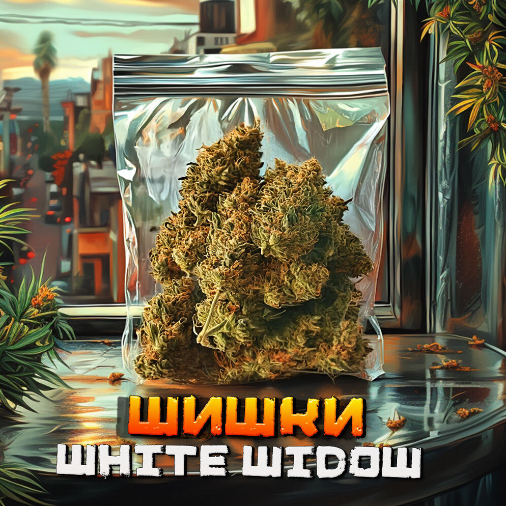 Шишки White Widow