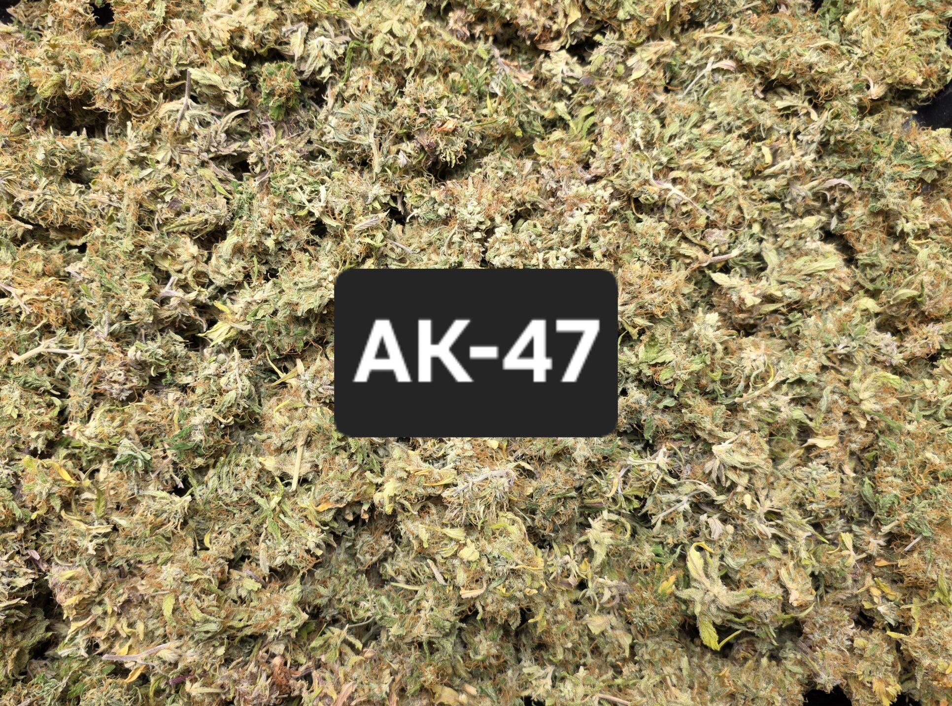 Ak-47