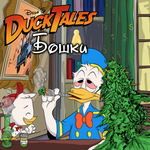 Бошки Cookies Kush
