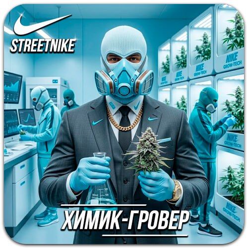 Химик/Гровер в СТРИТ