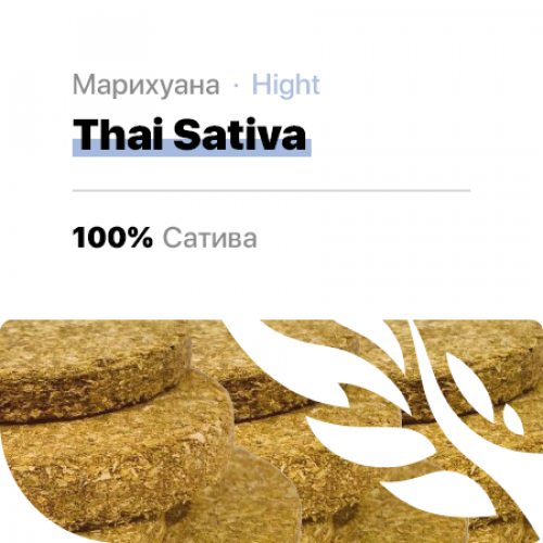 Thai Sativa