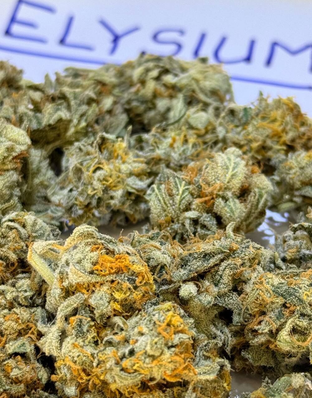 SRT Gorilla Glue GG4