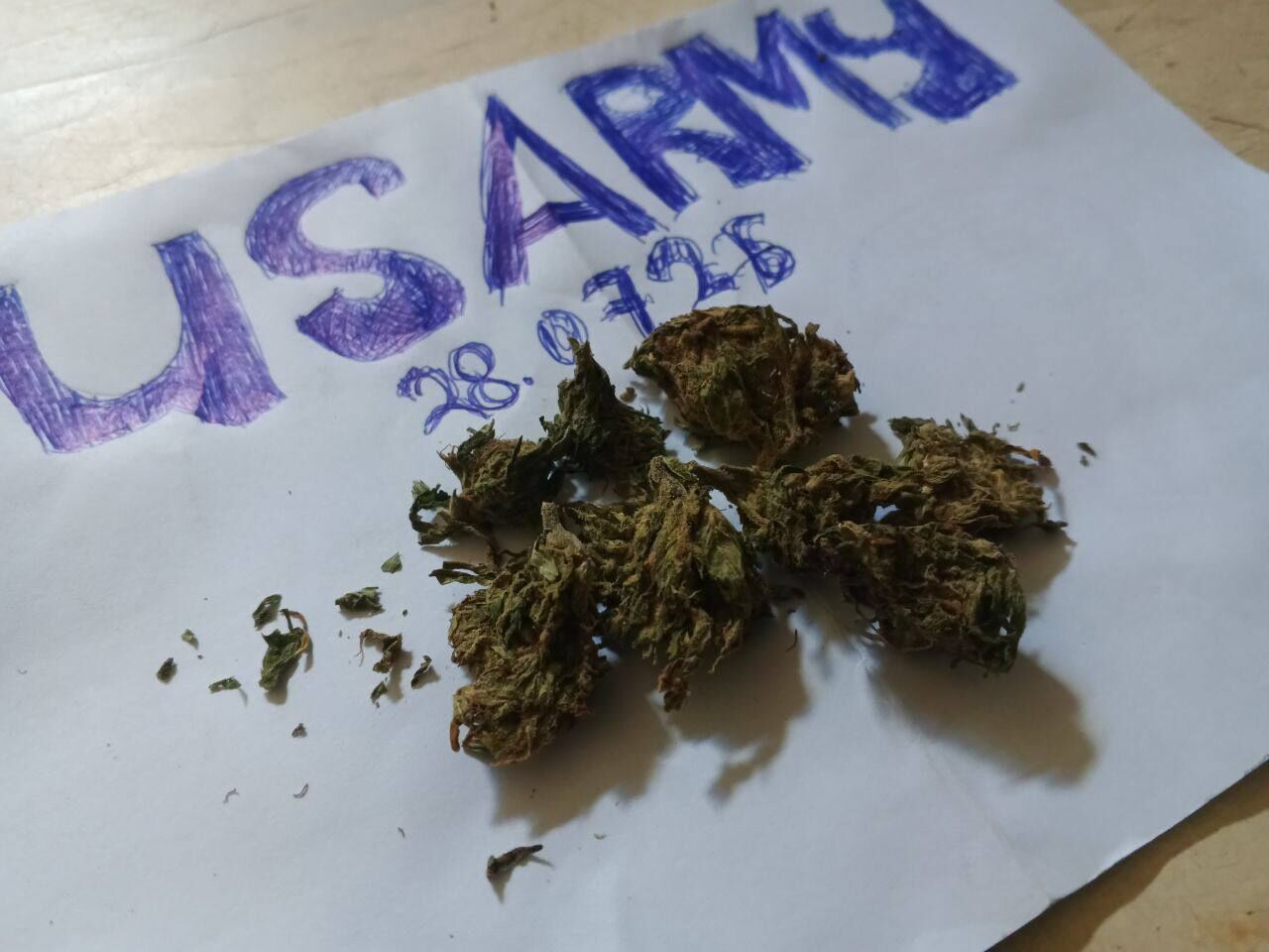 Tropical Buds VHQ